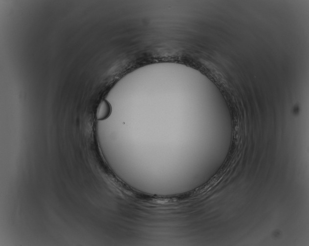 X0000097840662200803140836