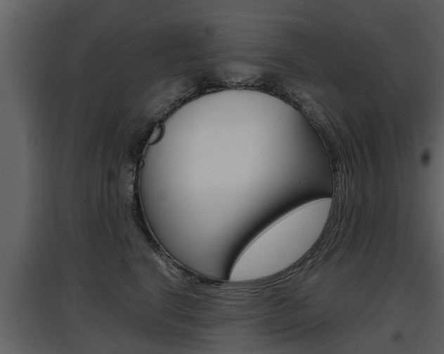 X0000097840664200803140836