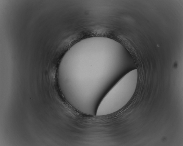 X0000097840668200803140836