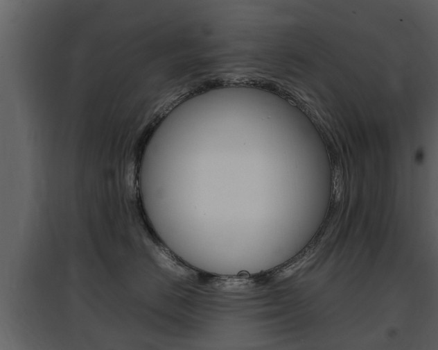 X0000097840670200803140836
