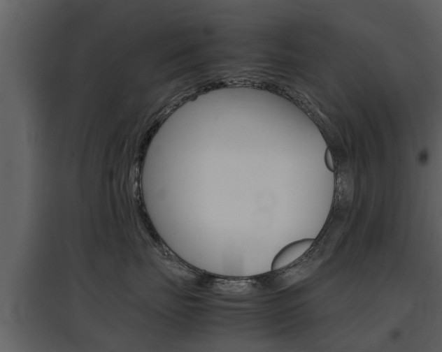 X0000097840671200803140836