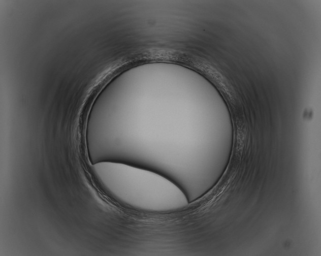 X0000097840674200803140835