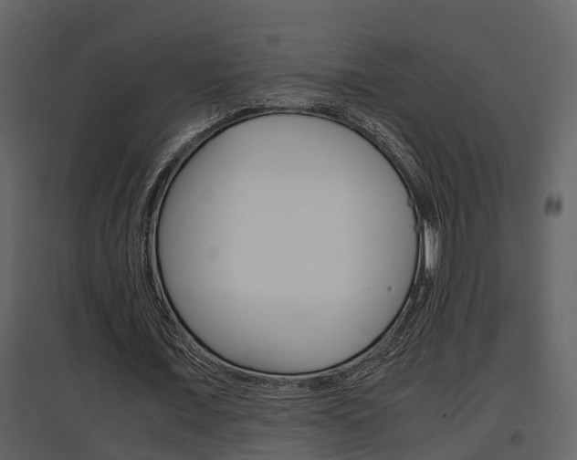 X0000097840675200803140835