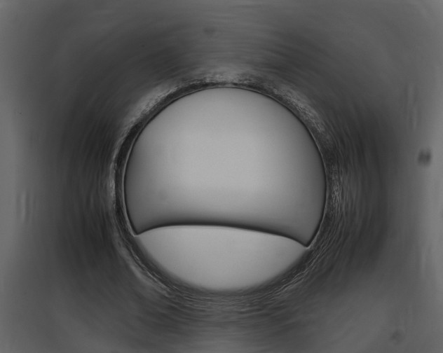 X0000097840678200803140835
