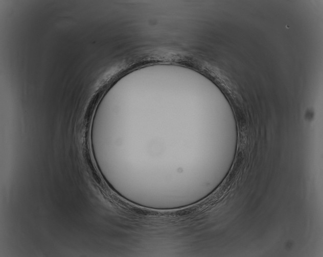 X0000097840679200803140835