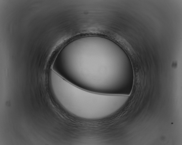 X0000097840680200803140835