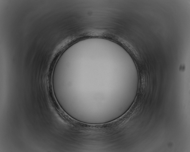 X0000097840682200803140835