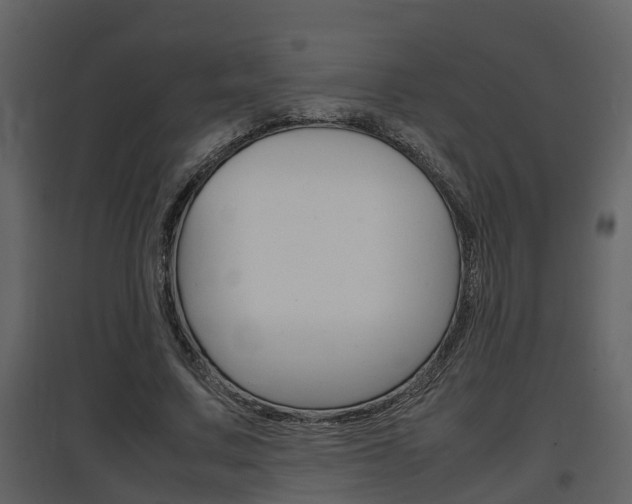 X0000097840683200803140835