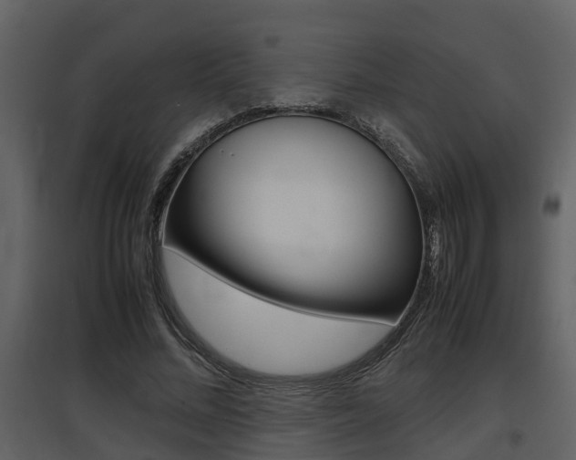 X0000097840684200803140835