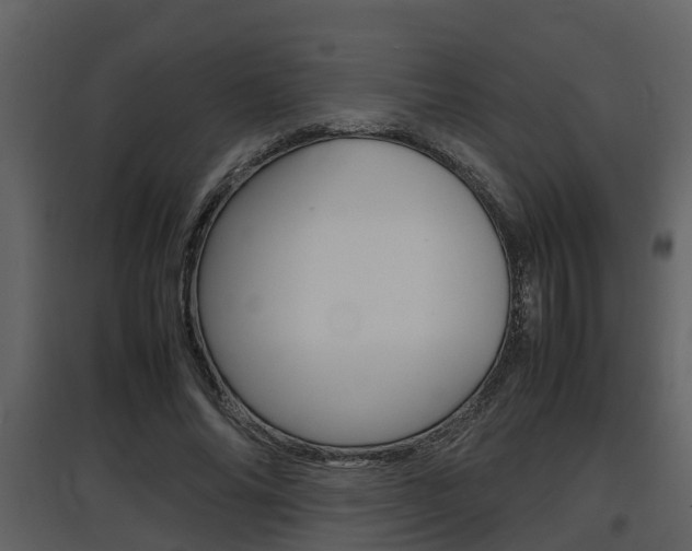 X0000097840686200803140835
