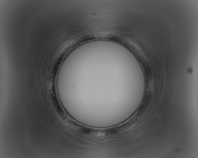 X0000097840687200803140835