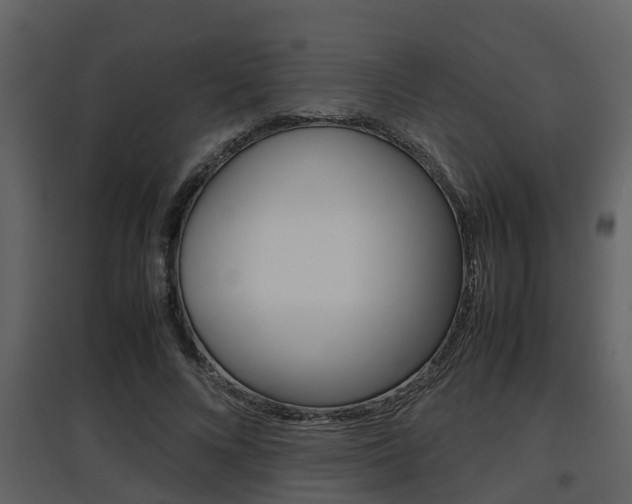 X0000097840688200803140835