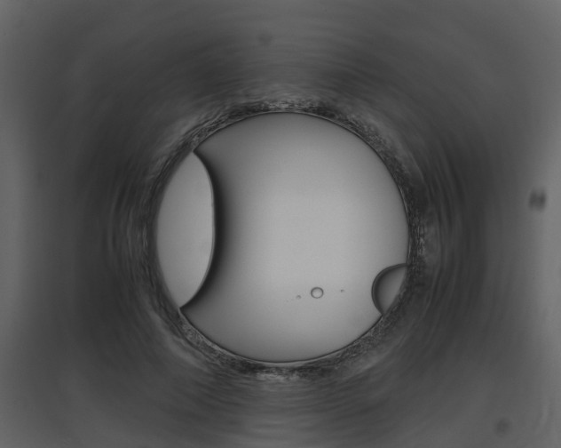 X0000097840690200803140835