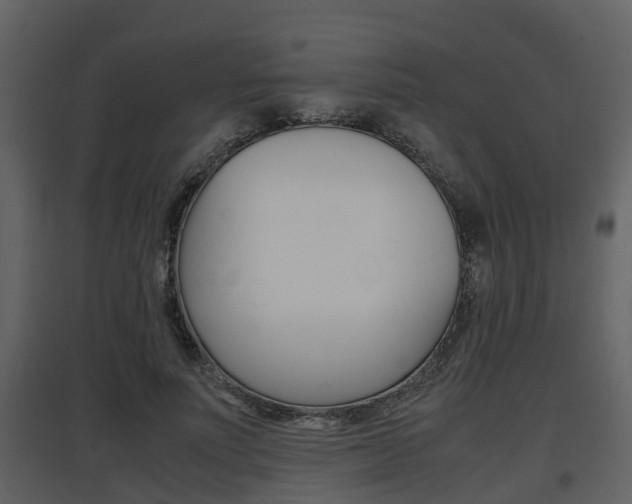 X0000097840691200803140835