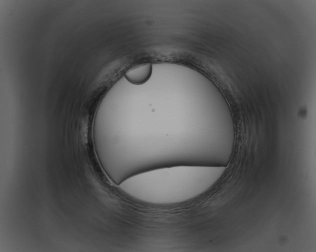 X0000097840694200803140835