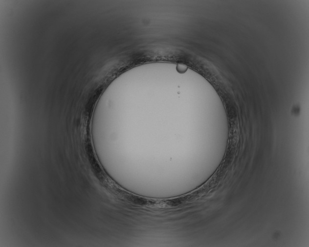 X0000097840695200803140835