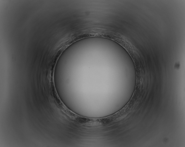 X0000097840696200803140835
