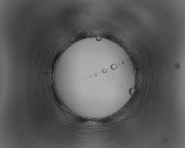 X0000097840699200803140835