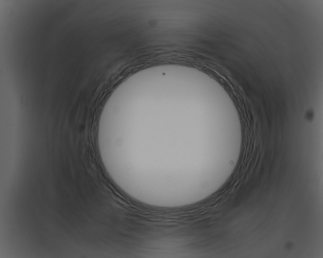X0000097840701200803140835
