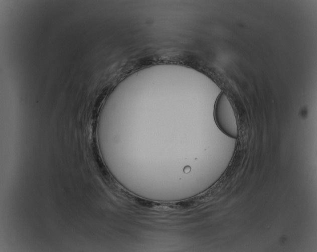 X0000097840703200803140835