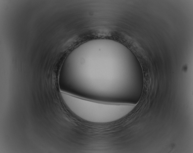 X0000097840704200803140835