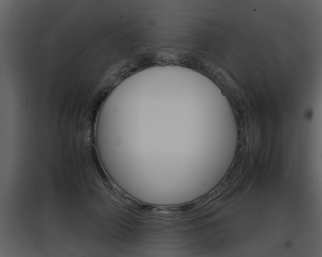 X0000097840706200803140835
