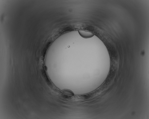 X0000097840707200803140835