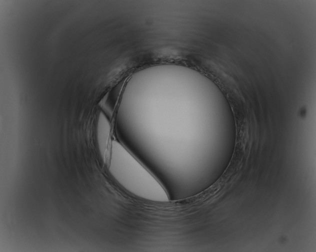 X0000097840708200803140835
