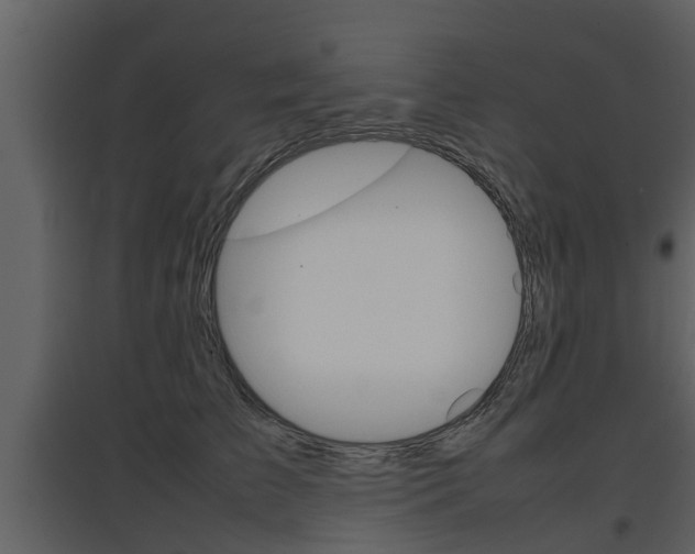 X0000097840709200803140835