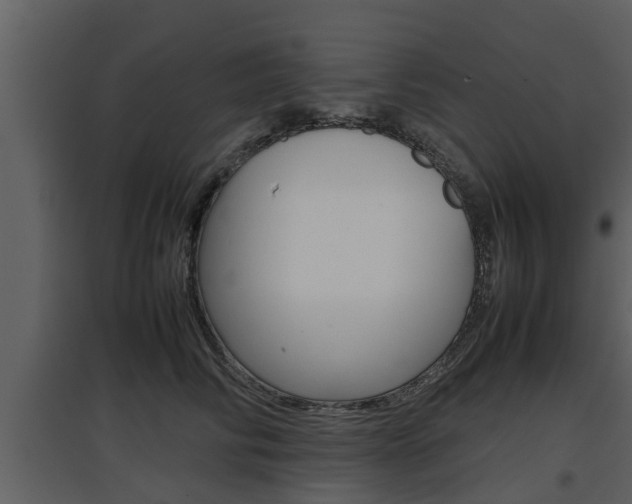 X0000097840710200803140834