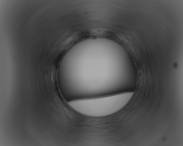 X0000097840712200803140834