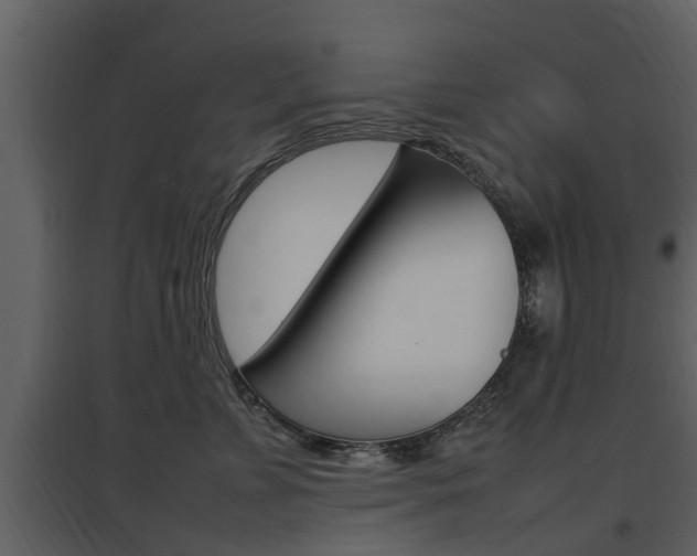 X0000097840715200803140834