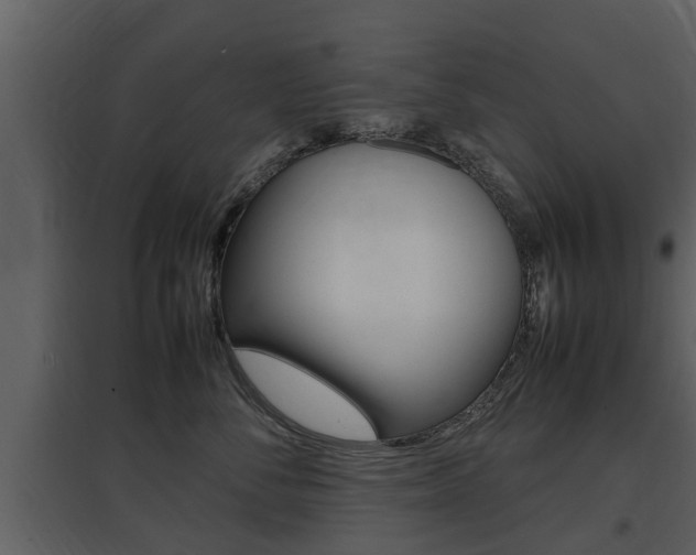 X0000097840716200803140834