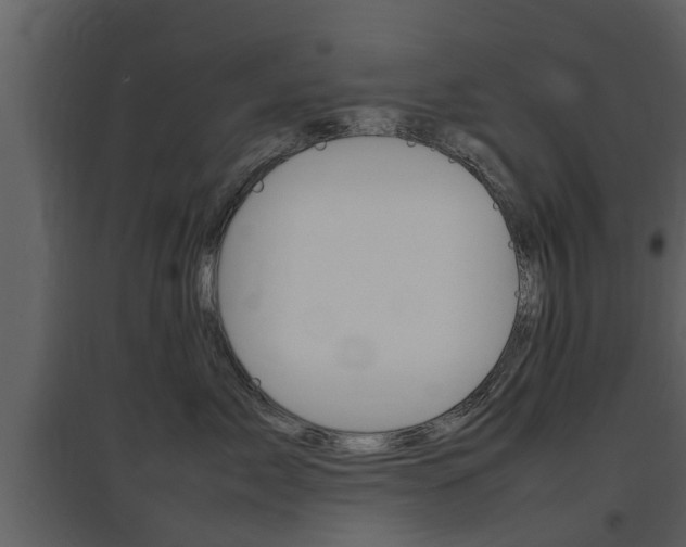 X0000097840717200803140834