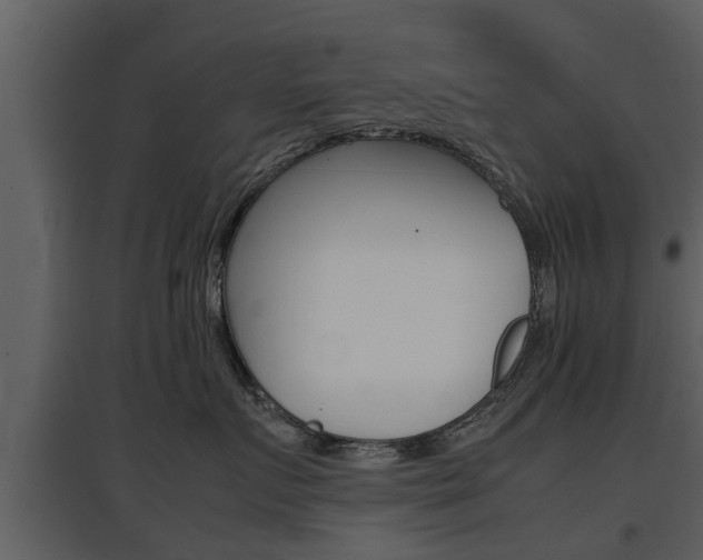 X0000097840719200803140834