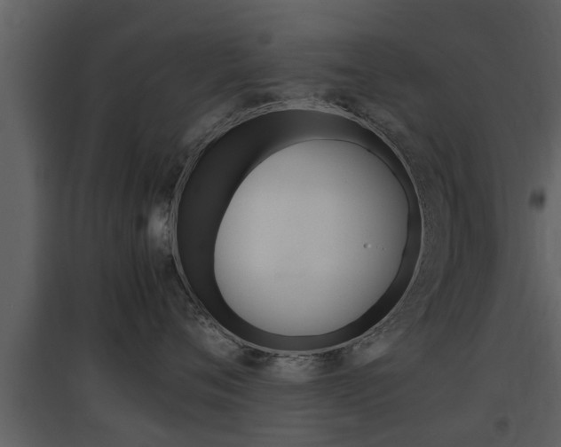X0000097840720200803140834
