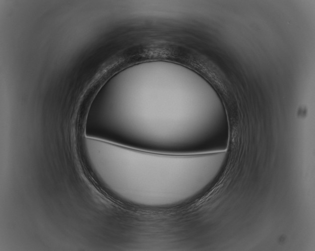 X0000097840722200803140834