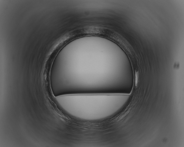 X0000097840723200803140834