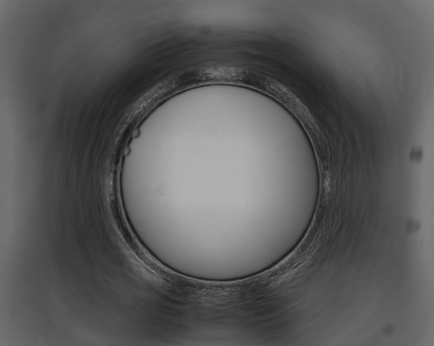 X0000097840725200803140834