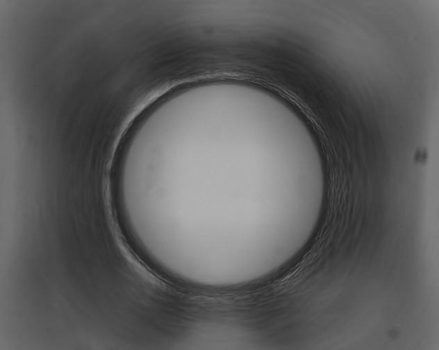 X0000097840726200803140834