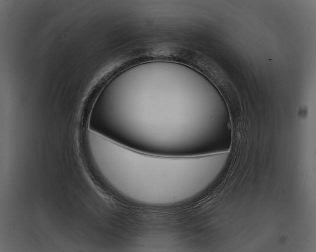 X0000097840728200803140834