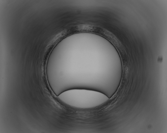 X0000097840729200803140834