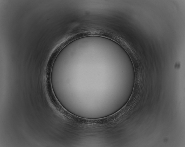 X0000097840730200803140834