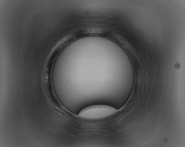 X0000097840731200803140834