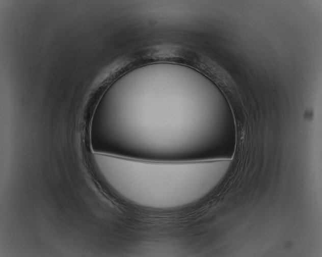 X0000097840732200803140834