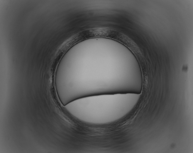 X0000097840733200803140834