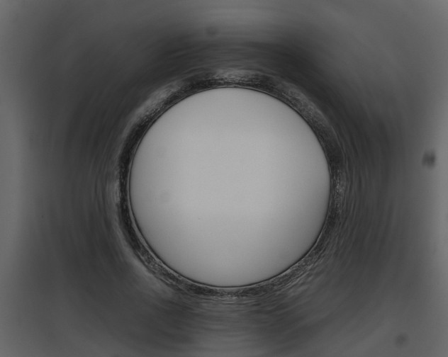 X0000097840734200803140834