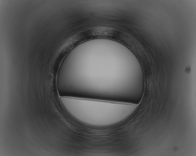 X0000097840735200803140834