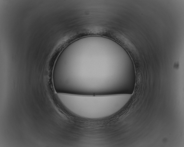 X0000097840736200803140834