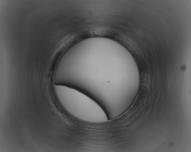 X0000097840738200803140834